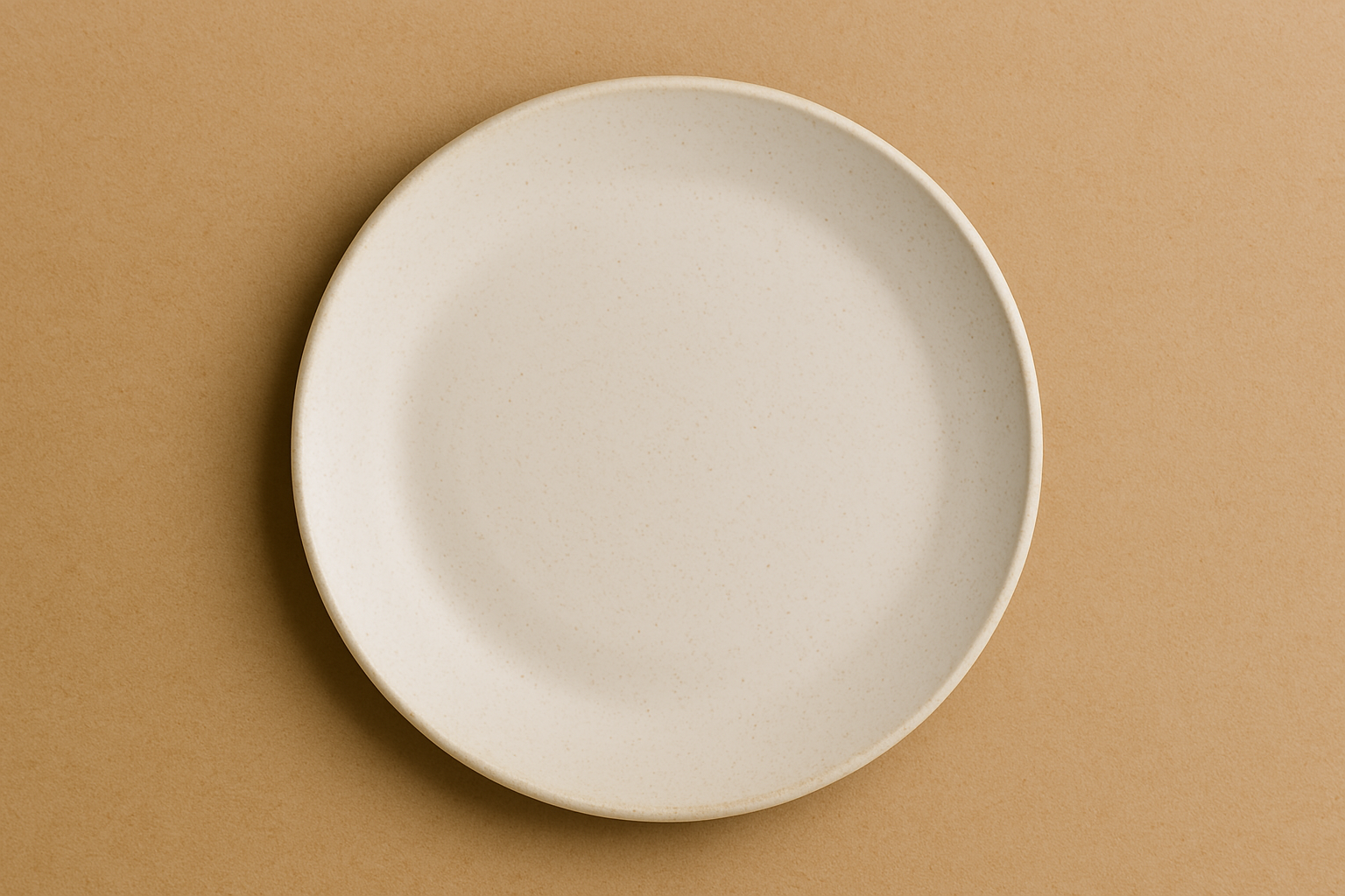 シンプルな白いお皿。